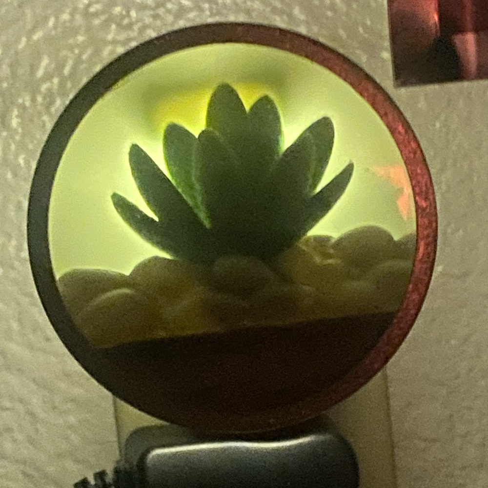 Beautiful Wallflowers Plug-In Night Light with a Succulent & Rocks - SWEEET!